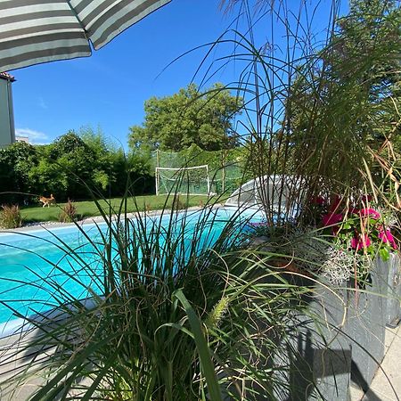 Pool & Lake Holiday Home Markkleeberg Dış mekan fotoğraf