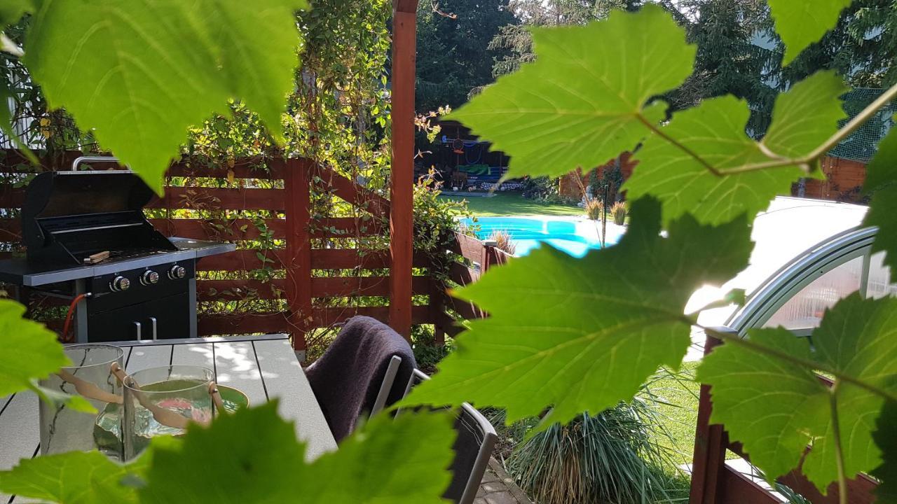 Pool & Lake Holiday Home Markkleeberg Dış mekan fotoğraf