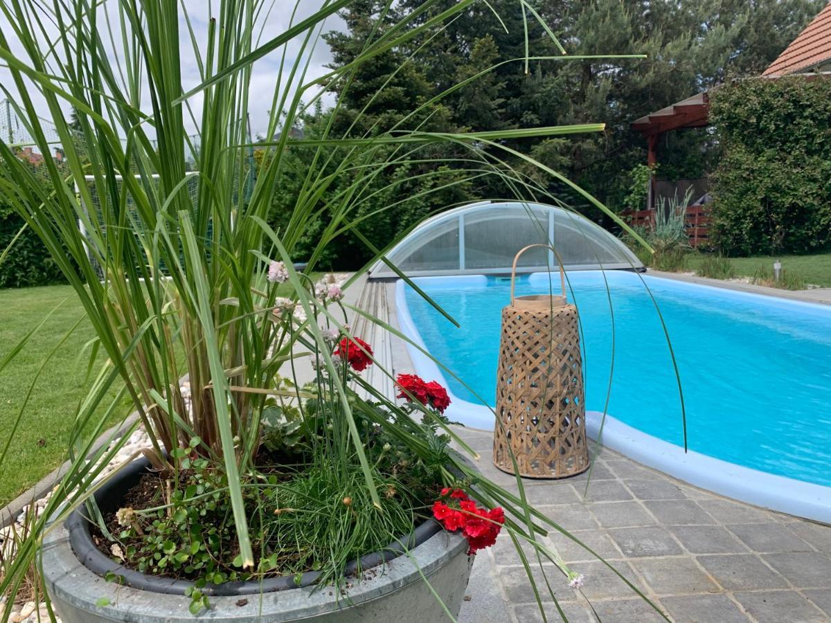 Pool & Lake Holiday Home Markkleeberg Dış mekan fotoğraf