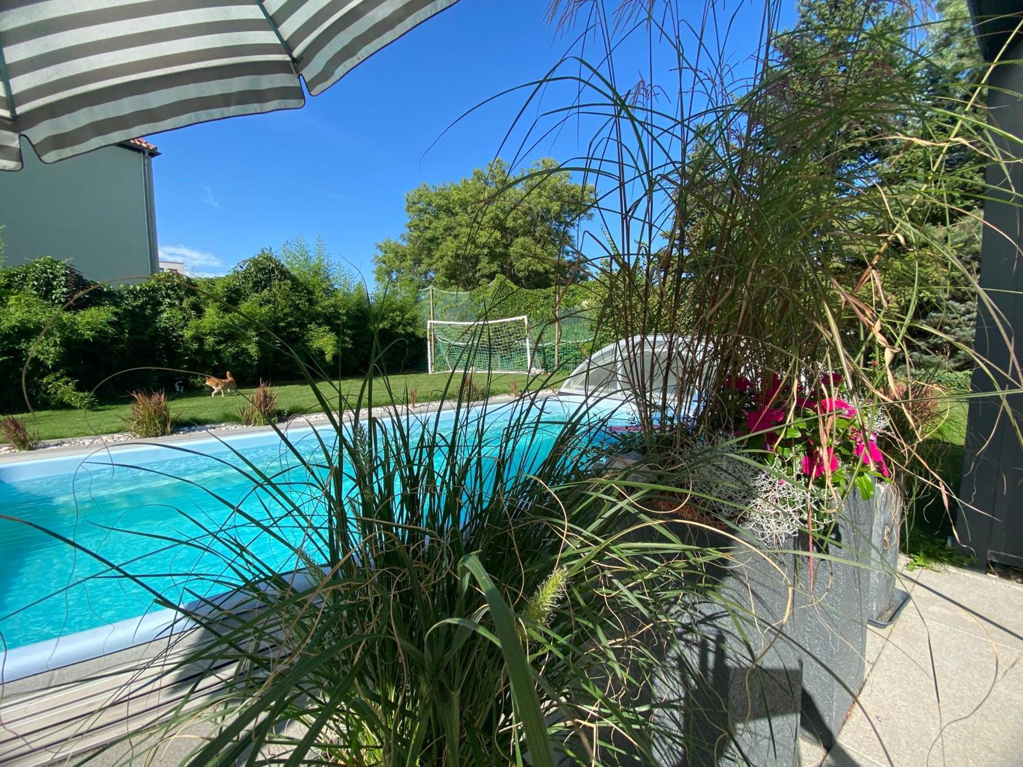 Pool & Lake Holiday Home Markkleeberg Dış mekan fotoğraf